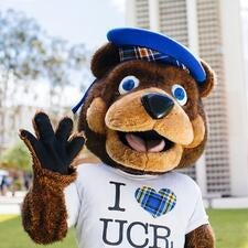 Scotty-the-bear
